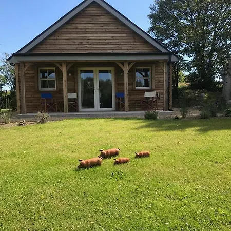 The Little House *